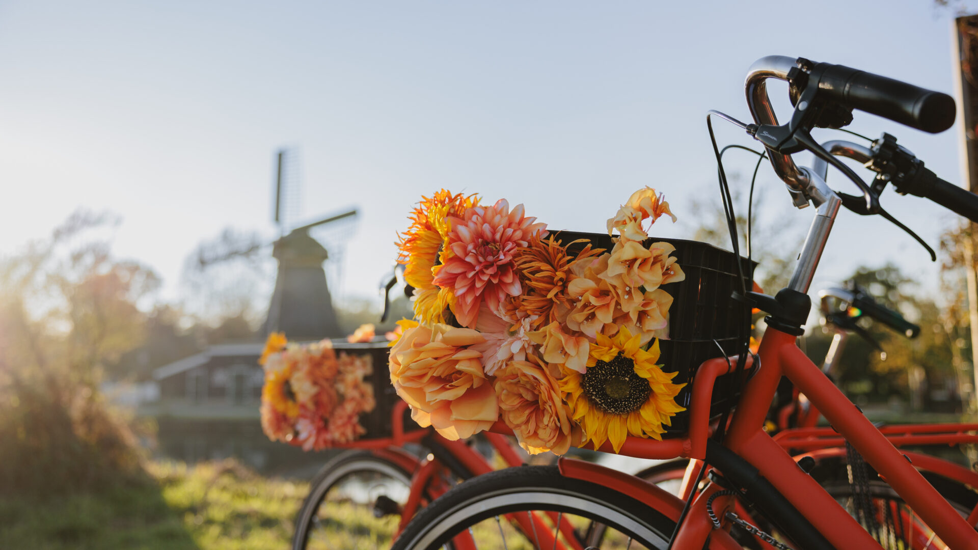 Amsterdam Cheese, Windmill & Countryside Bike Tour