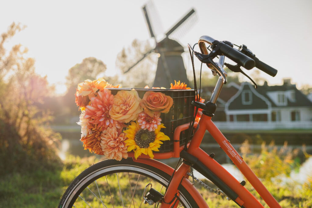 Amsterdam Cheese, Windmill & Countryside Bike Tour